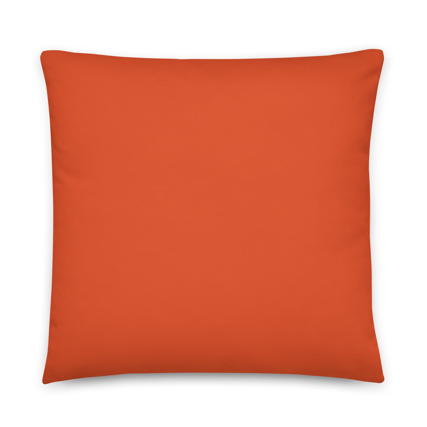 Surprise Couch Pillowcase